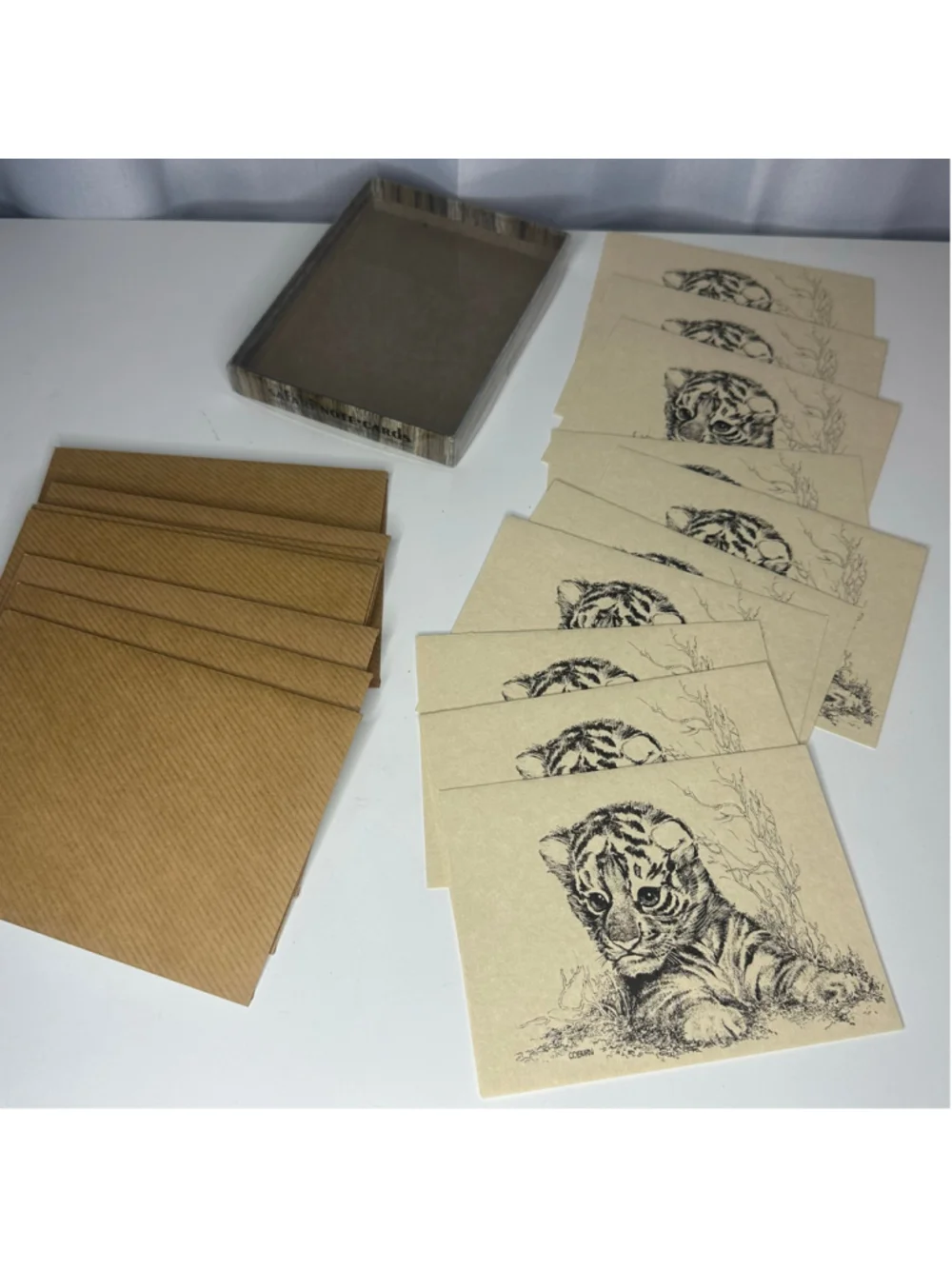 Vintage Safari Blank Note Cards Set of 10 by Small World Greetings Stationery